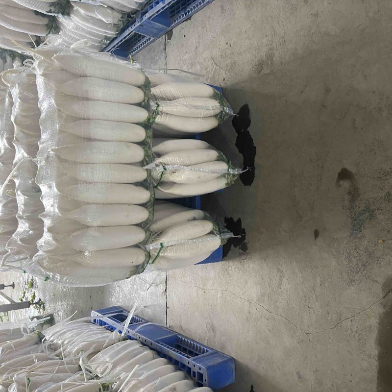 四排精品