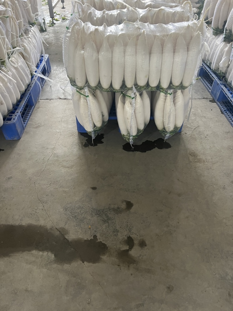 四排精品