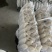 四排精品