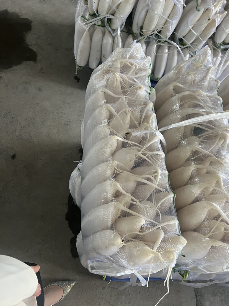 四排精品