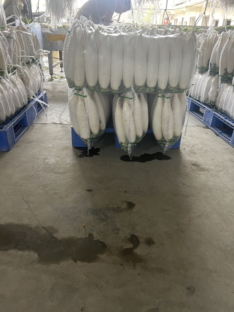 四排精品