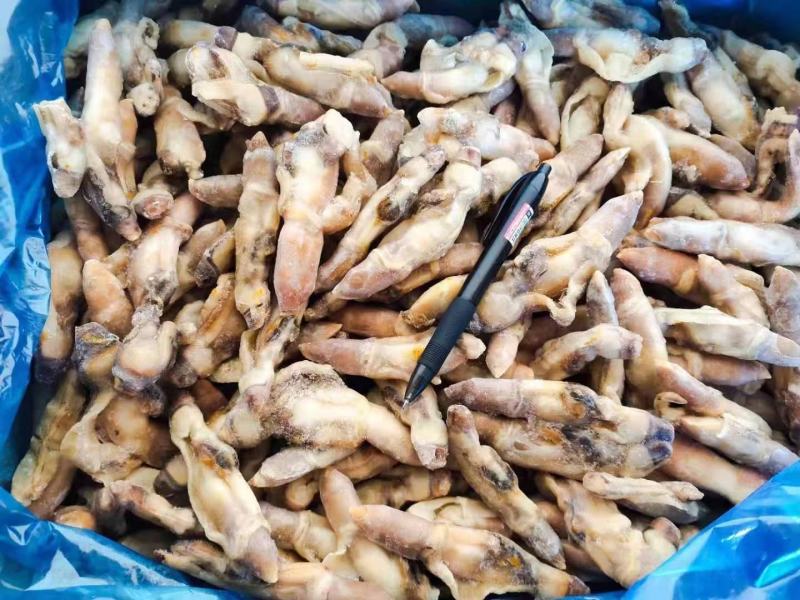 蛏子肉批发原料蛏王肉单冻蛏子肉无沙蛏子肉开嘴蛏王肉