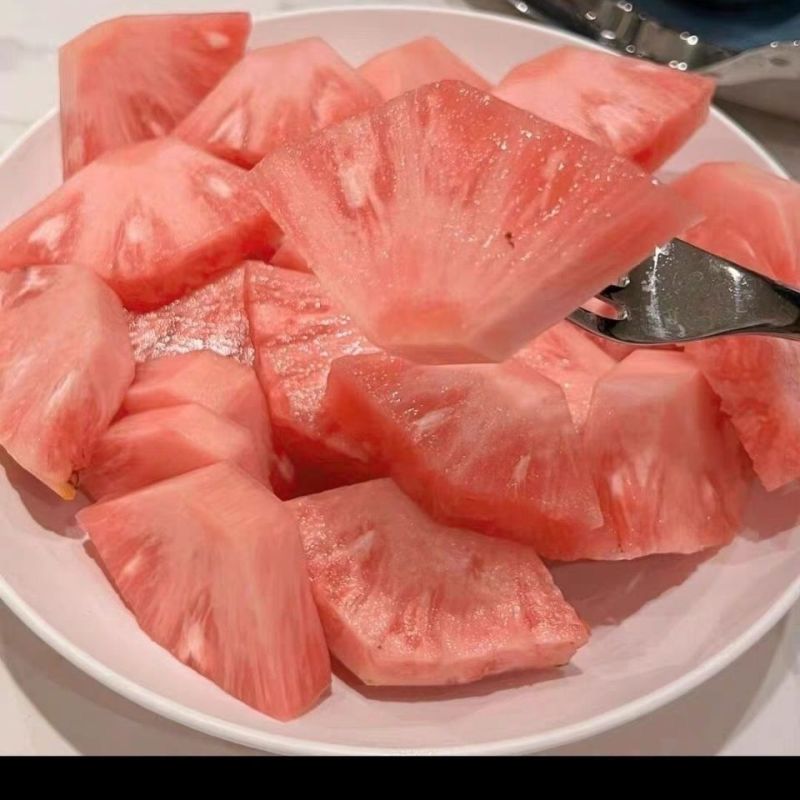 新品凤梨苗红肉菠萝西瓜凤梨苗手撕金钻凤梨苗高产量当年结果