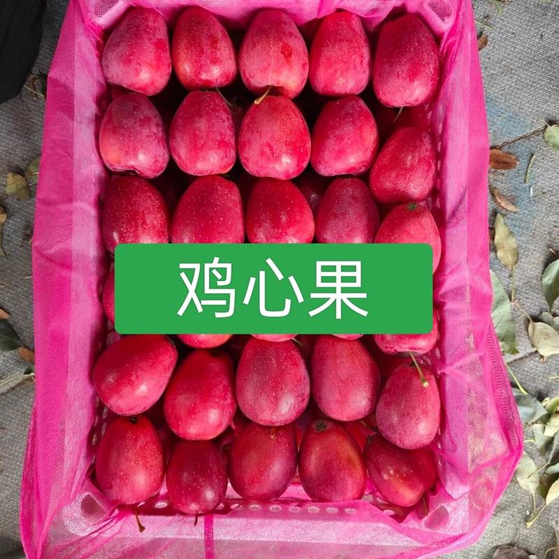 辽宁省，铁岭市，西丰县双榆鸡心小苹果基地