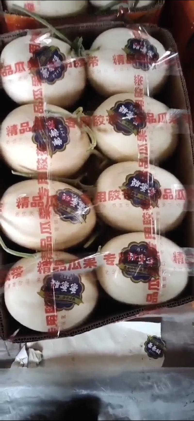 莘县甜瓜精品红金蜜大量供货产地直供对接全国电商超市