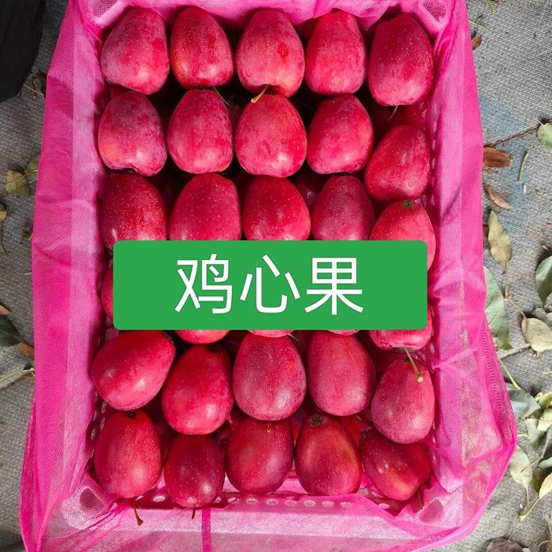辽宁省西丰县双榆鸡心小苹果基地，大量上市