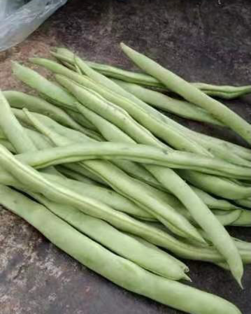 小金豆