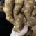 生姜价格山东大黄姜价格