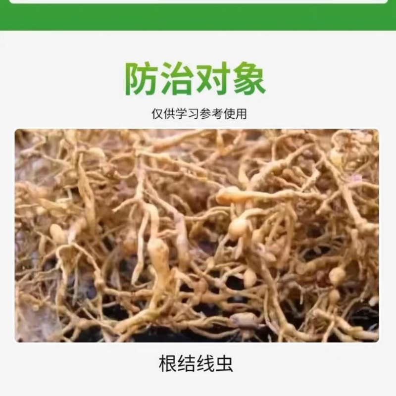 盈辉快线30%噻唑膦微囊悬浮剂线虫药根结线虫药黄瓜线虫药