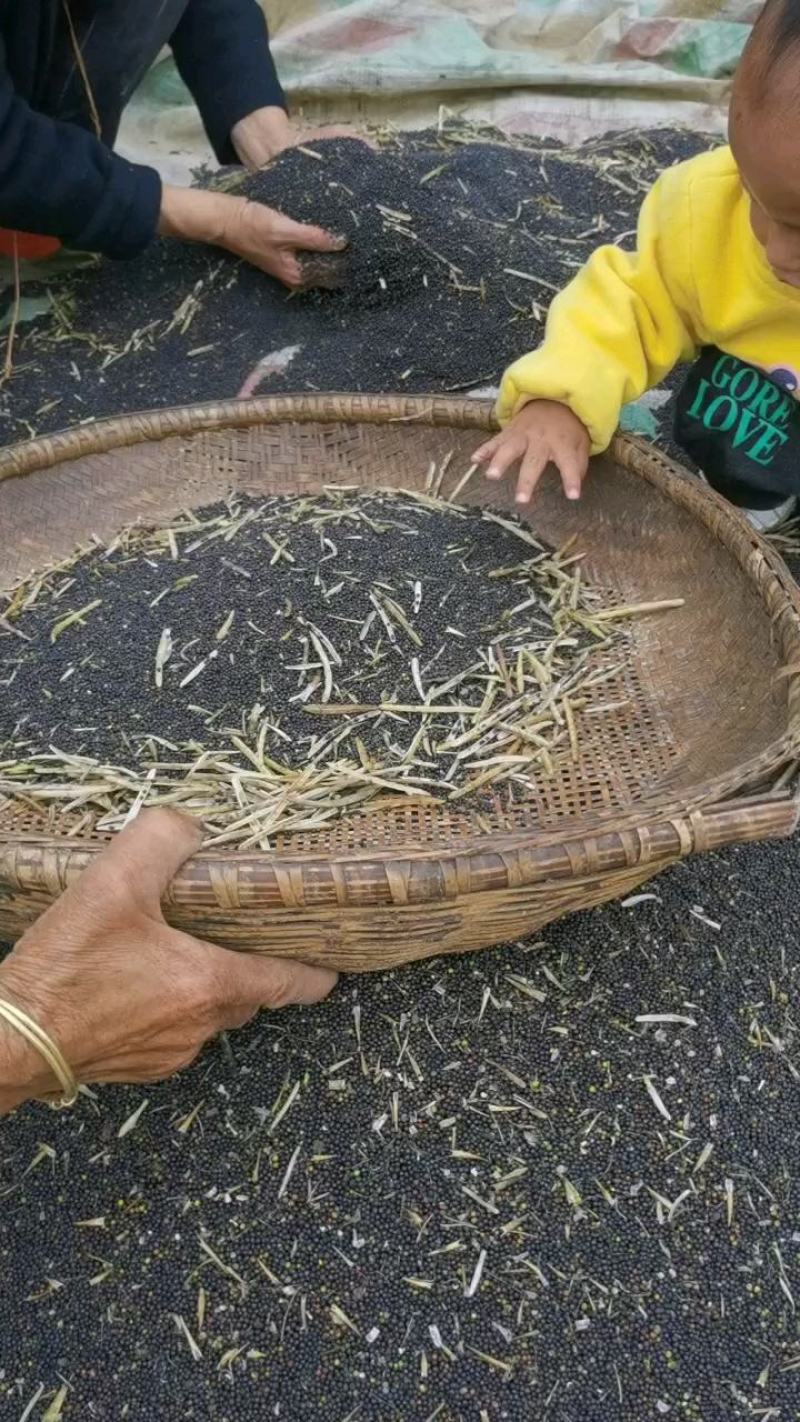 5升大桶装农村自榨纯菜籽油包邮