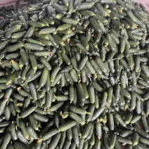 玛莎水果黄瓜