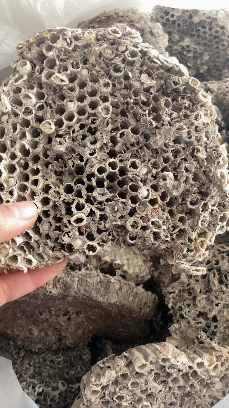 中药材蜂房马蜂窝规格多请私聊，可商议
