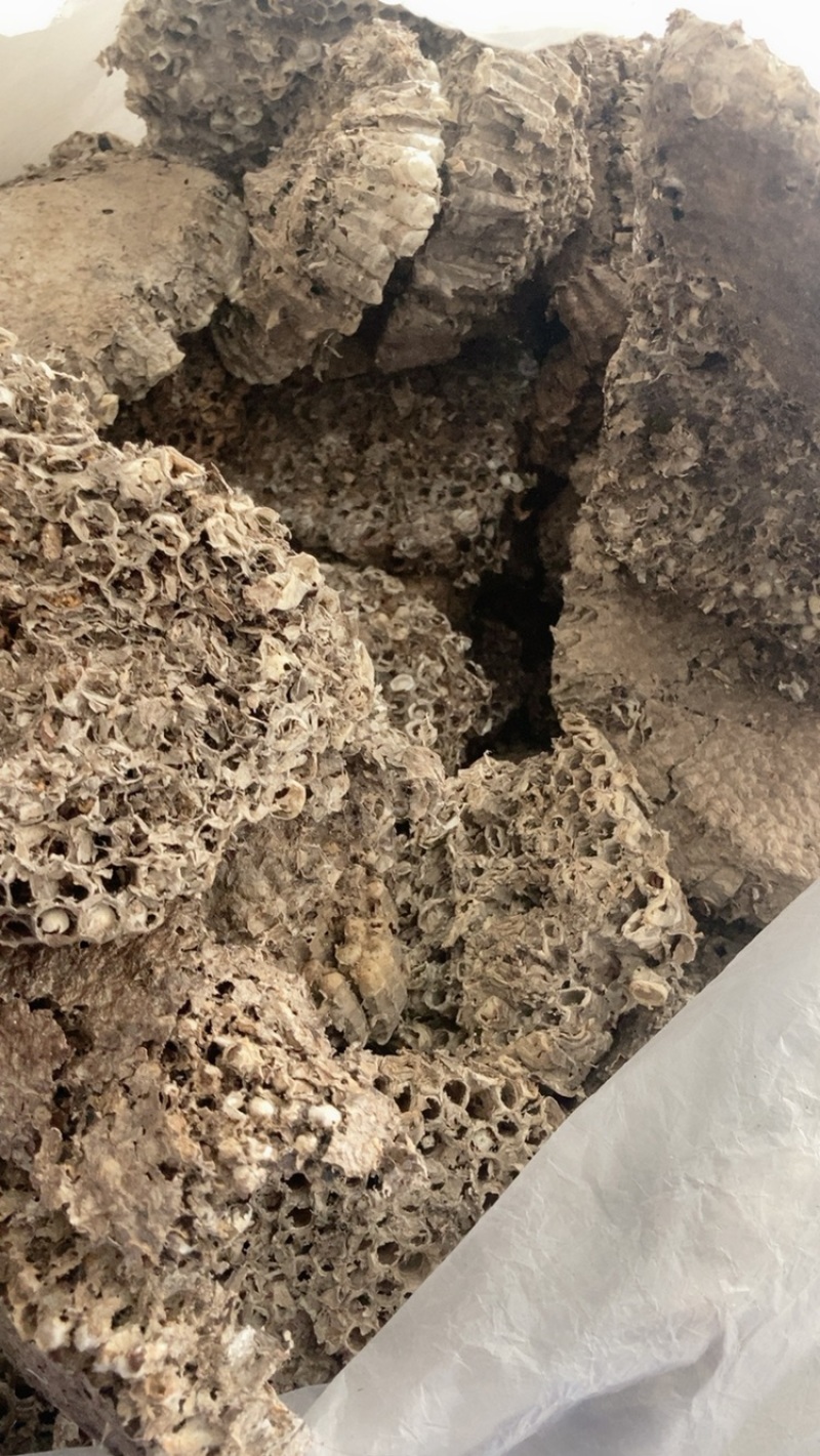 中药材蜂房马蜂窝规格多请私聊，可商议