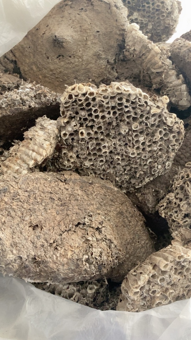 中药材蜂房马蜂窝规格多请私聊，可商议