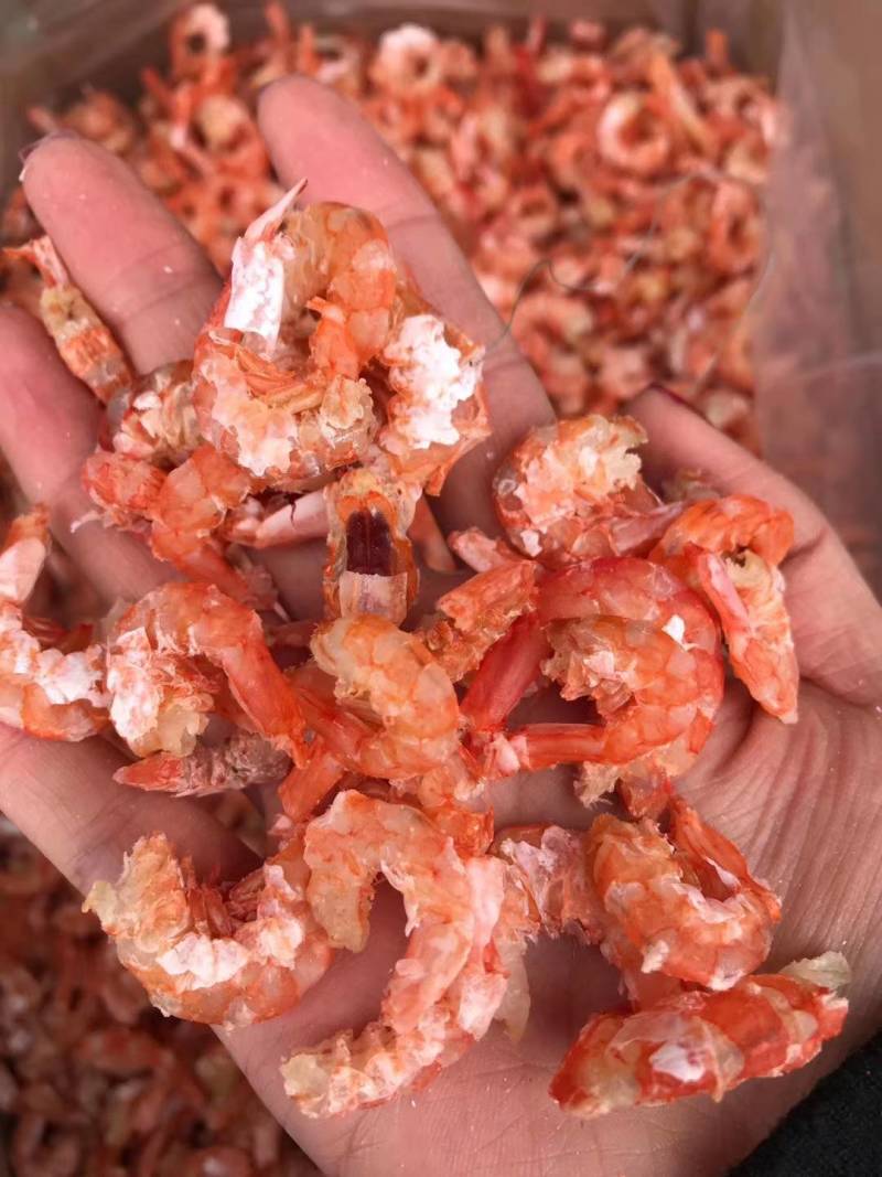 金钩海米工厂直发虾米虾仁质量好，货量大