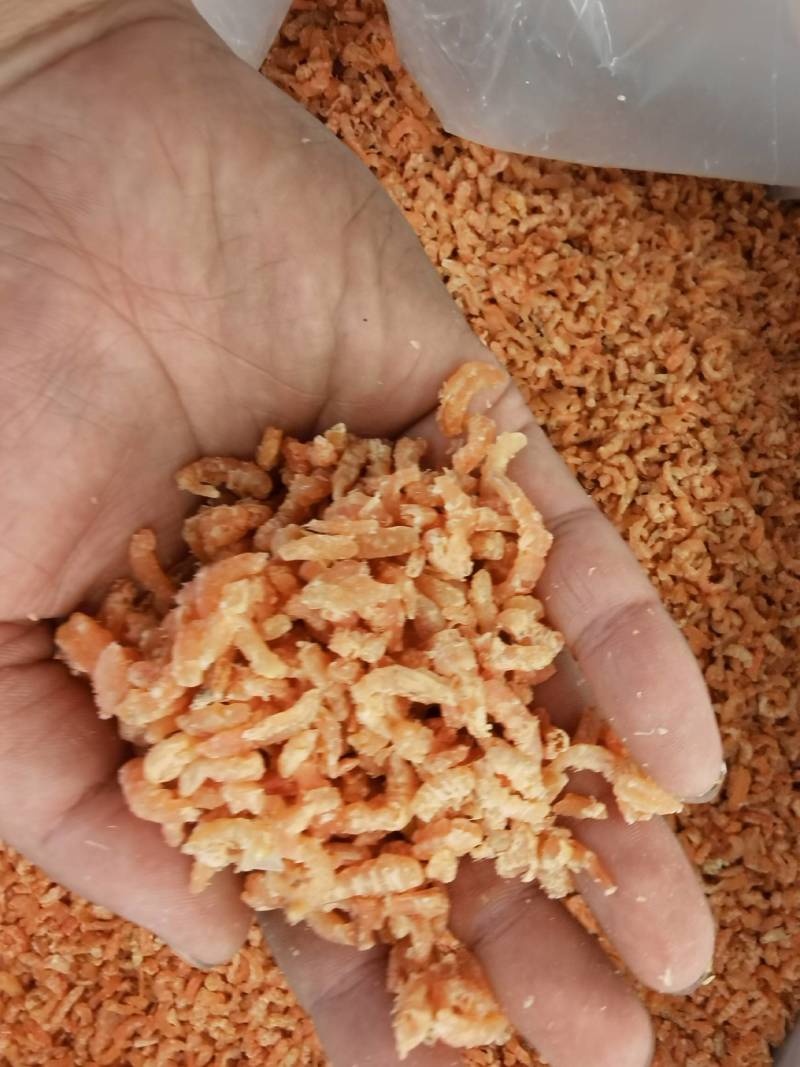 金钩海米工厂直发虾米虾仁质量好，货量大