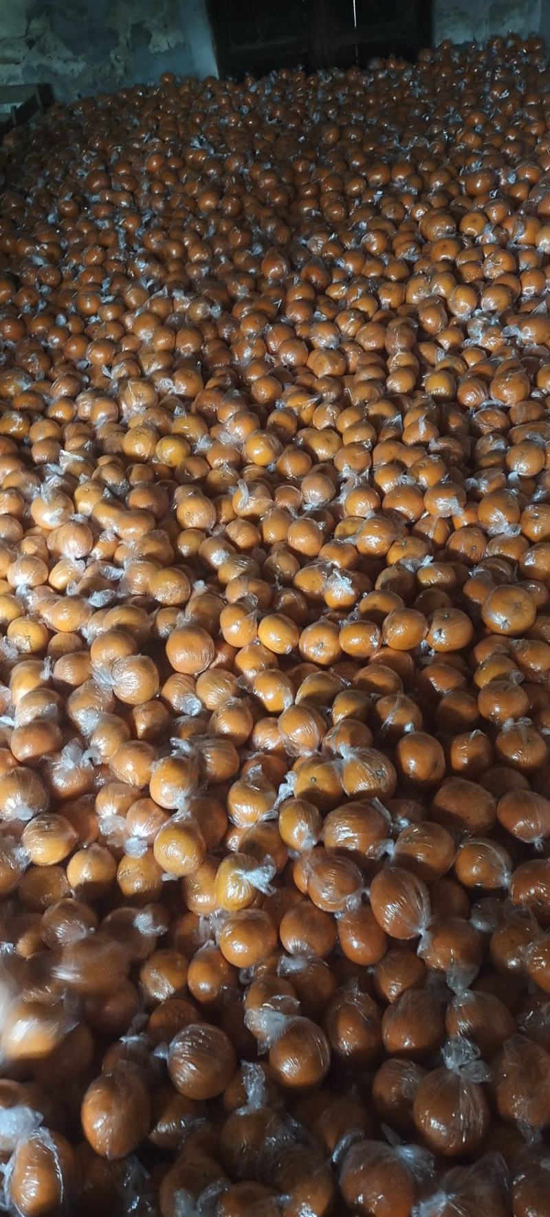 大量供应常温保鲜㓇柑，硬度好，味道甜，皮张细嫩行情行价！