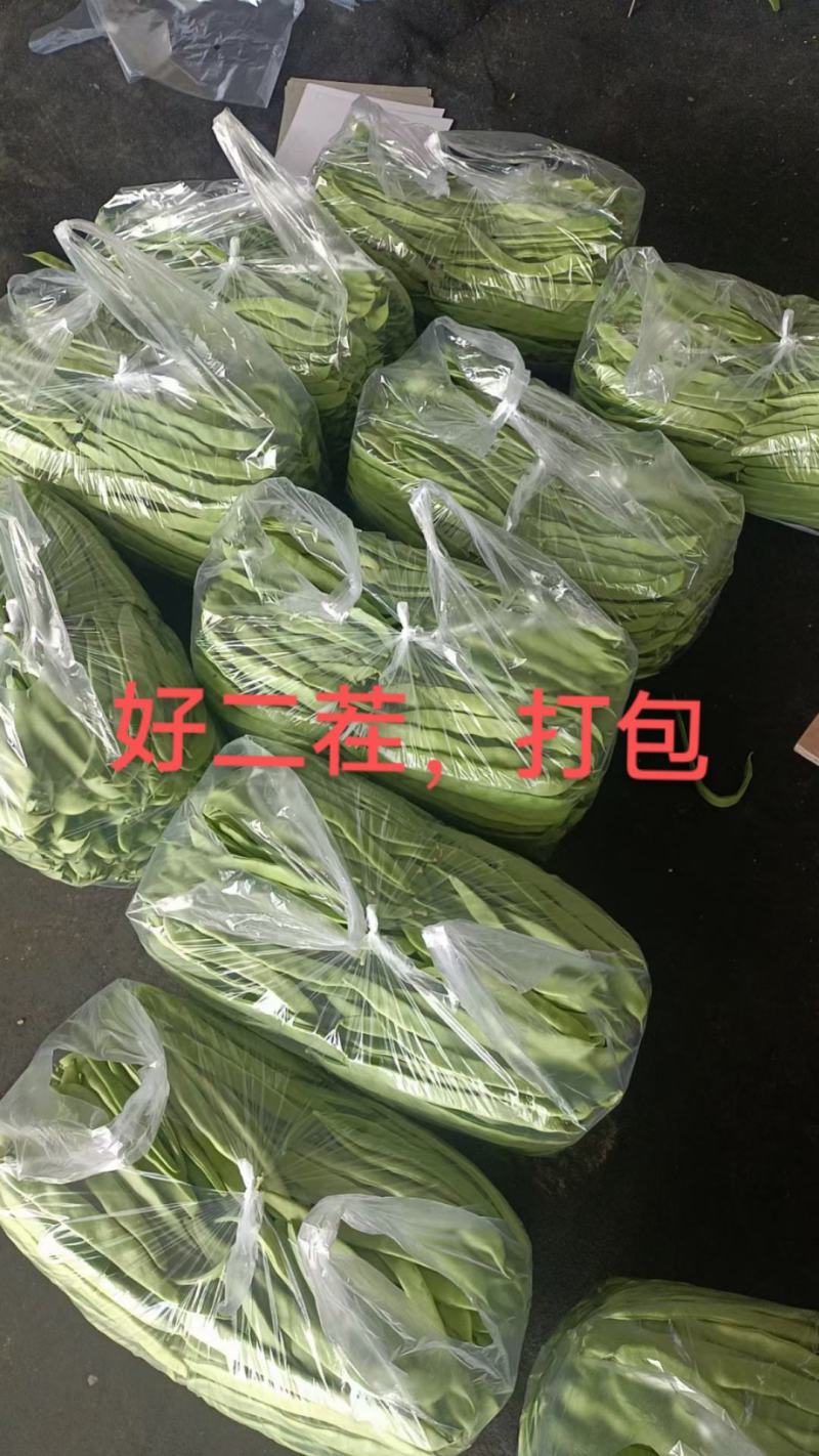 扁豆