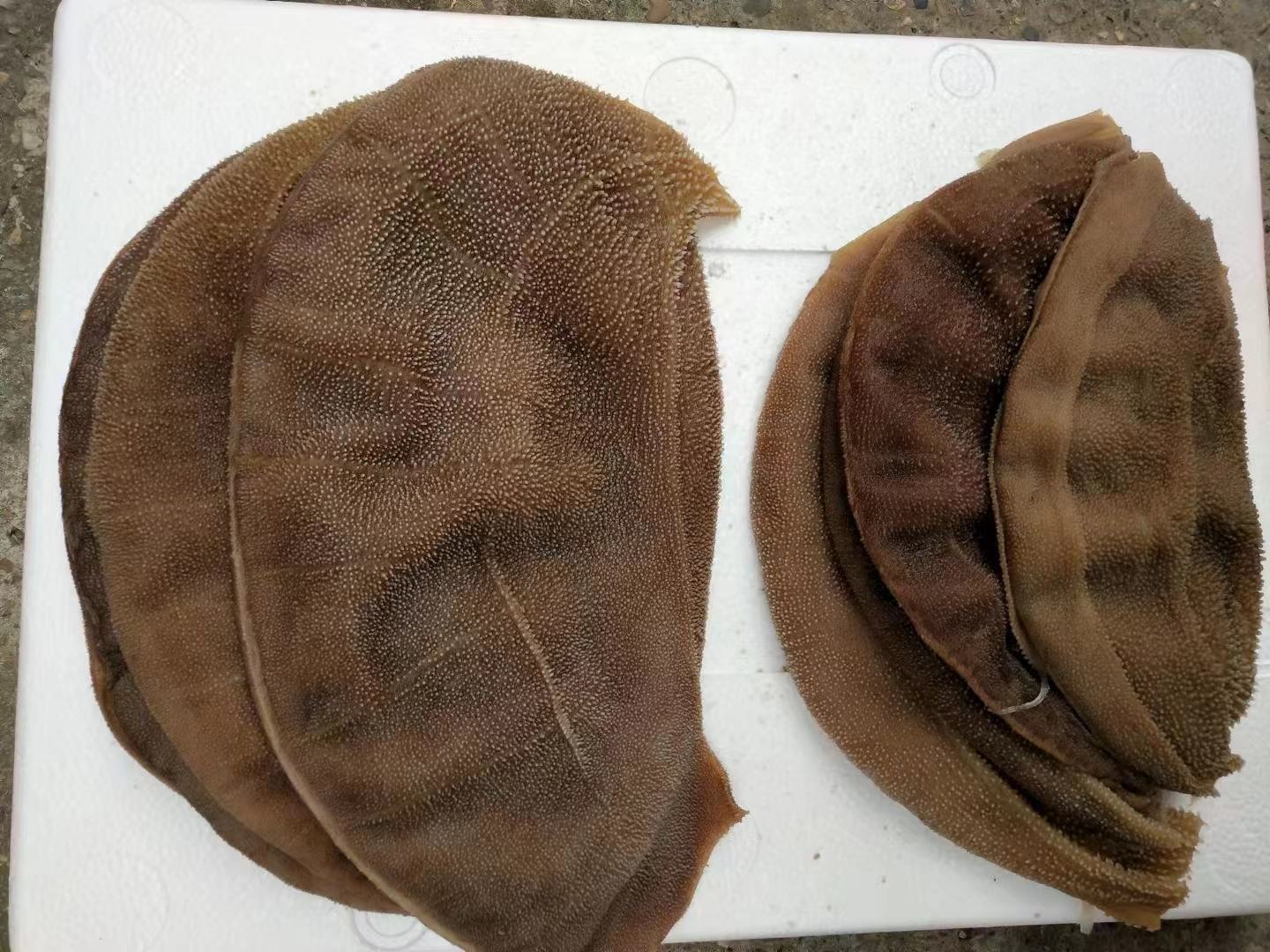 牛肚和竹笋的初步处理过程