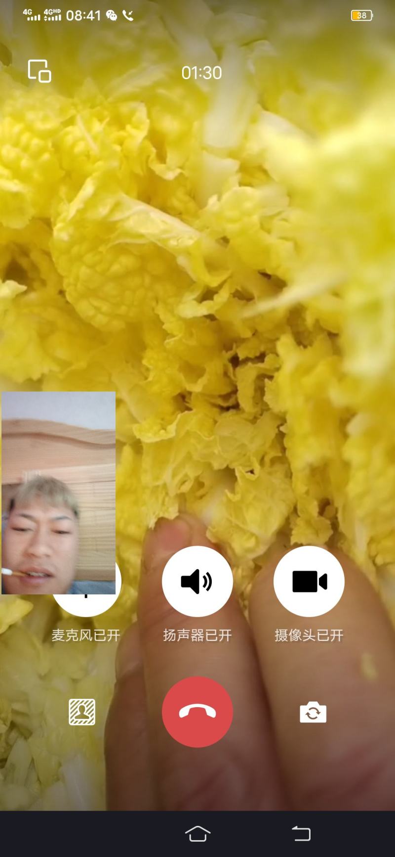 大白菜