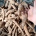 纯野生牛大力野生黄牛鲜牛新鲜现挖干货砍片干个