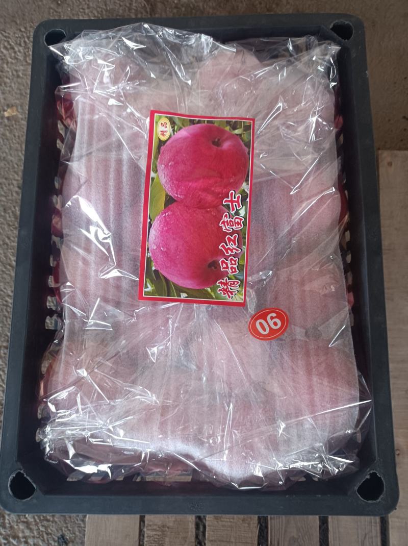 辽宁营口苹果-红富士苹果接近尾声想要的把握时间哈
