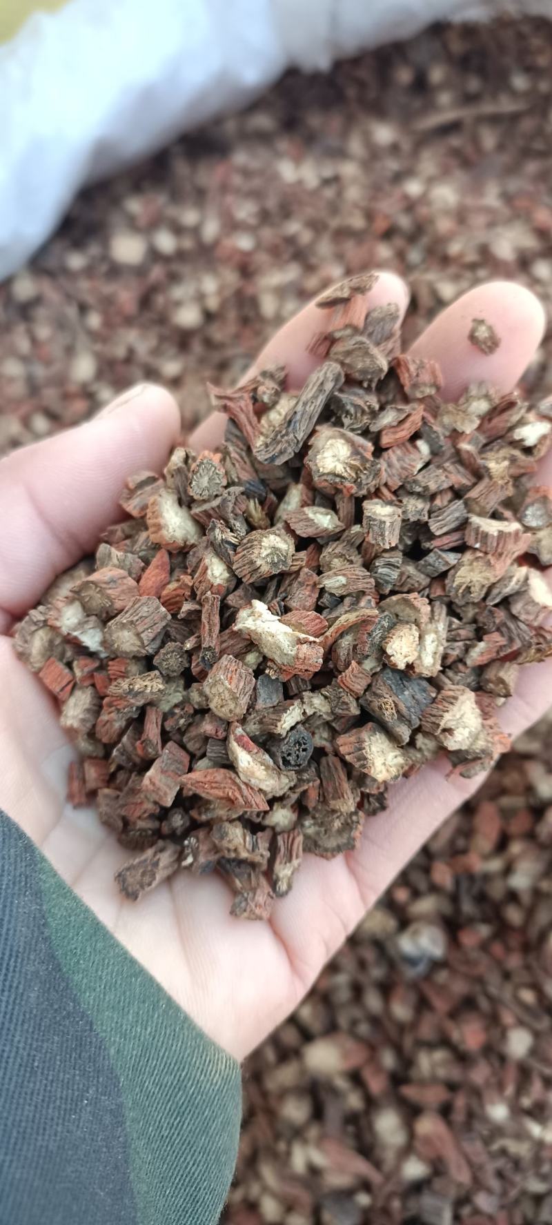 丹参产地山东，无硫无杂，道地药材，一手货源，大货供应。