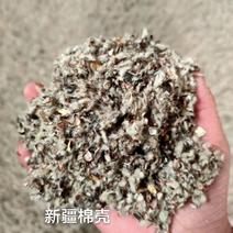 出货，山东德州夏津，新疆棉壳