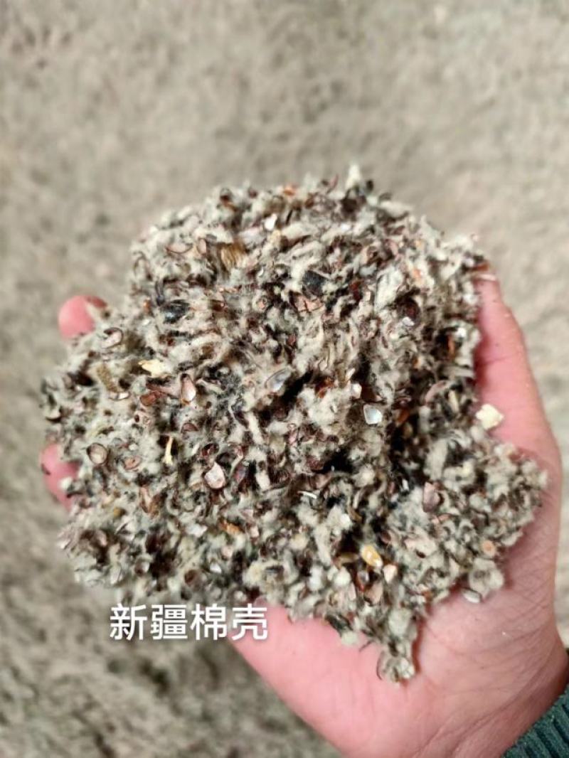 出货，山东德州夏津，新疆棉壳