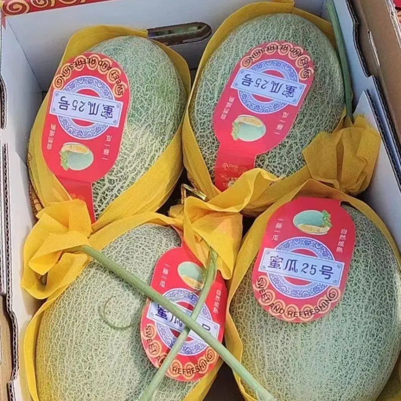 海南晓蜜25号哈蜜瓜，承接电商超市，市场，团购等业务