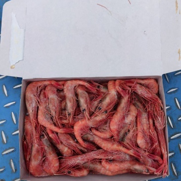 刺身北极甜虾1kg/盒