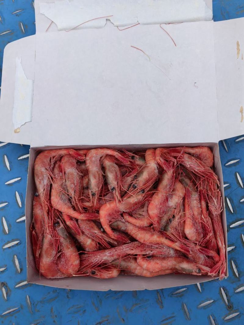刺身北极甜虾1kg/盒