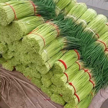 红帽蒜苔对接电商商超市场一件代发对接各大平台