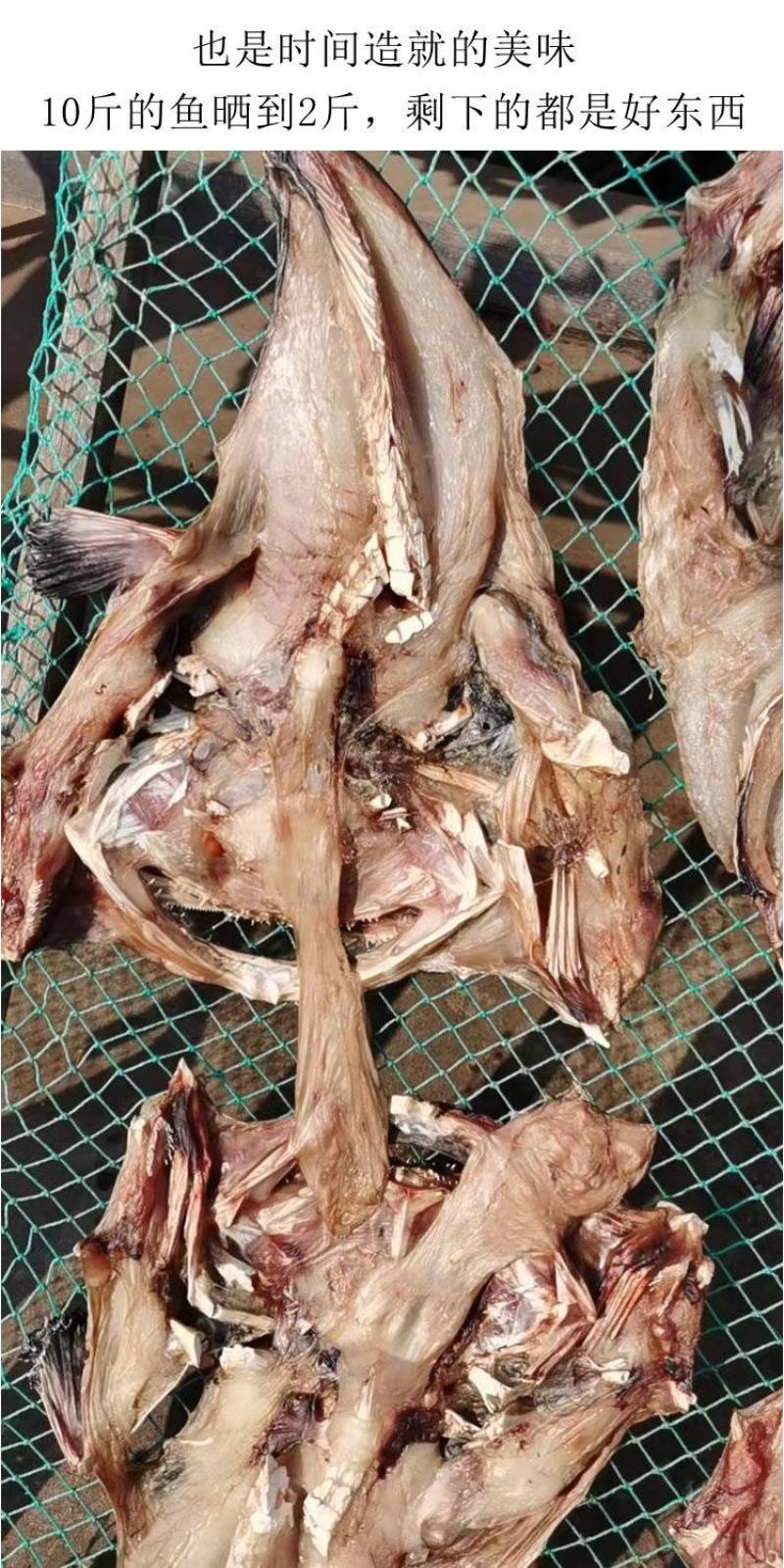 青岛特色安康鱼干蛤蟆鱼干鮟鱇鱼干风干鱼干