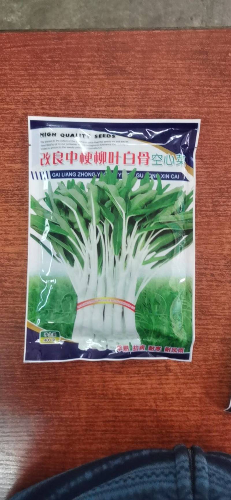 改良中梗柳叶白骨空心菜，广州番禺种纯白柳叶空心菜