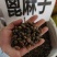 中药材蓖麻子货源充足批发零售保证质量
