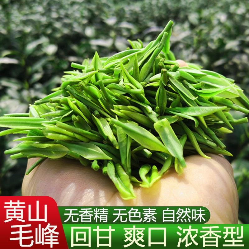 黄山高山云雾茶明前精品毛峰，纯手工炒制全国发货