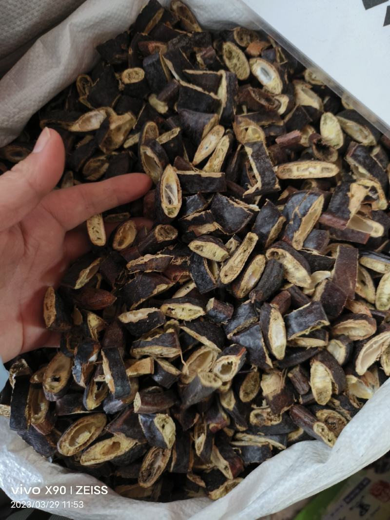中药材皂角猪牙皂货源充足批发零售保证质量