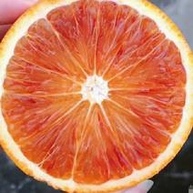 新品种血橙，玫瑰香橙，三峡库区独有特产，一件