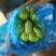 姜饼瓜