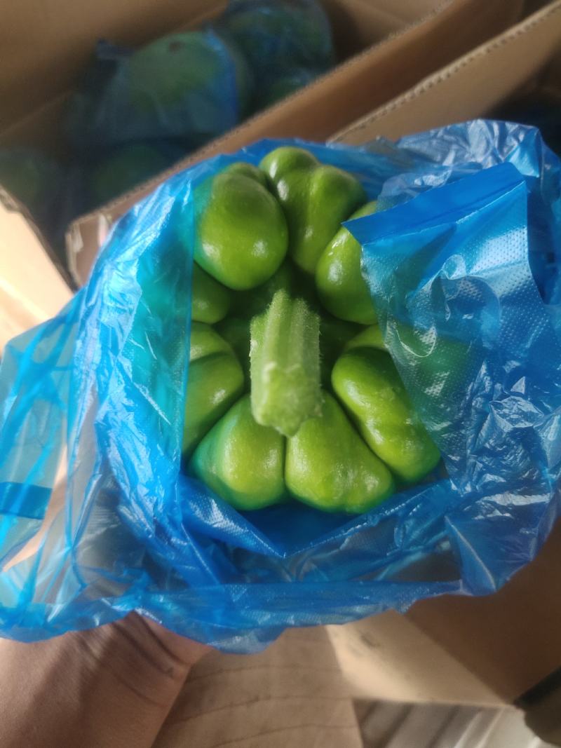 姜饼瓜