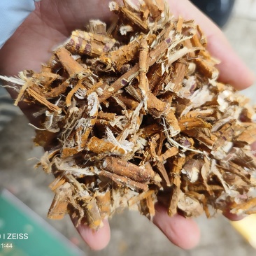 中药材桑白皮货源充足批发零售保证质量