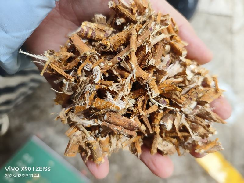 中药材桑白皮货源充足批发零售保证质量