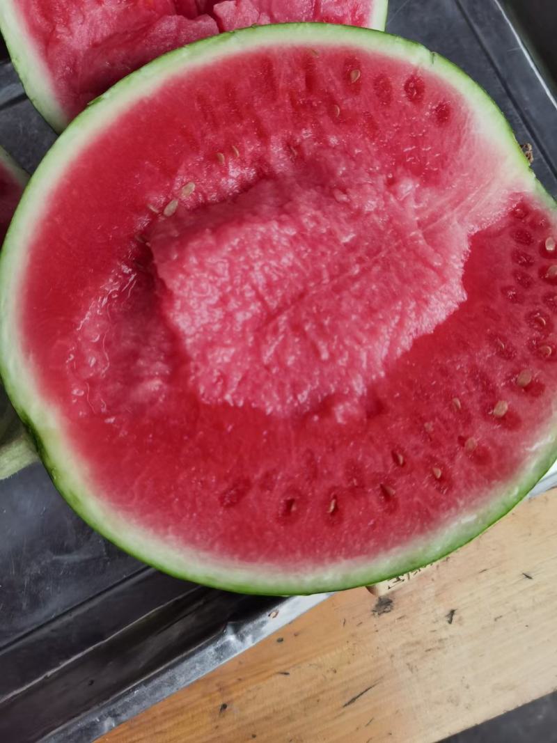 【有好货】美都西瓜8424麒麟瓜大量上市稳定货源大量供应