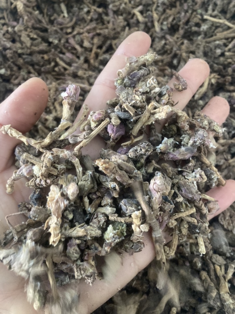 冬花款冬花量大可商议，私聊价格可优惠