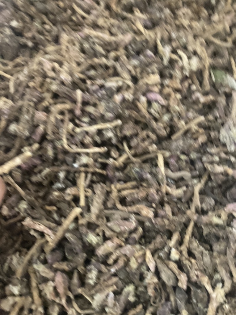 冬花款冬花量大可商议，私聊价格可优惠