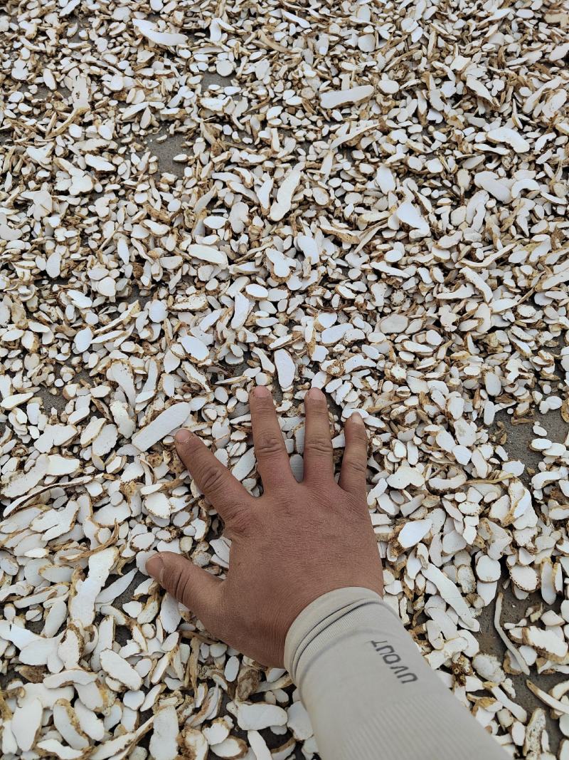 山药片产地加工铁杆山药毛条片全国发货
