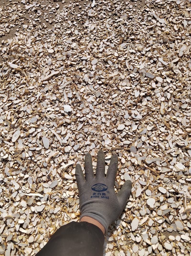 山药片产地加工铁杆山药毛条片全国发货