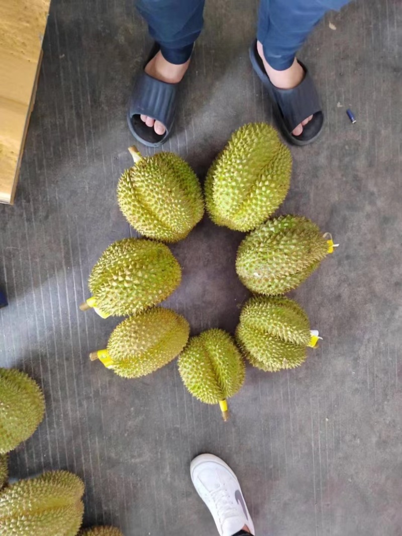 榴莲
