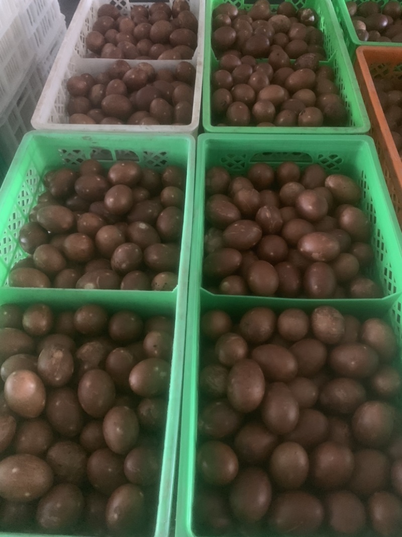 咸鸭蛋中秋礼品优选特大烤鸭蛋品种纯正假一赔十